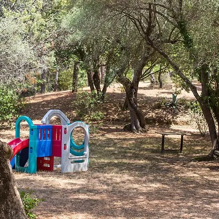 Les Arbousiers סן פלורן