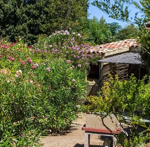 别墅 杨梅酒店 *